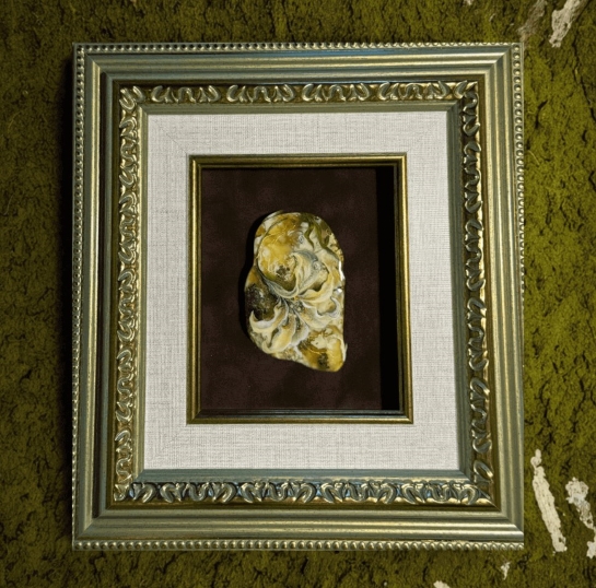 Картина "Солнечная орхидея"